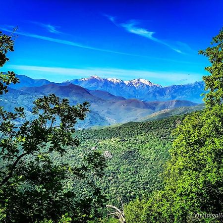 Nuits Magiques Au Village Entre Mer Et Montagnes Bigorno Dış mekan fotoğraf