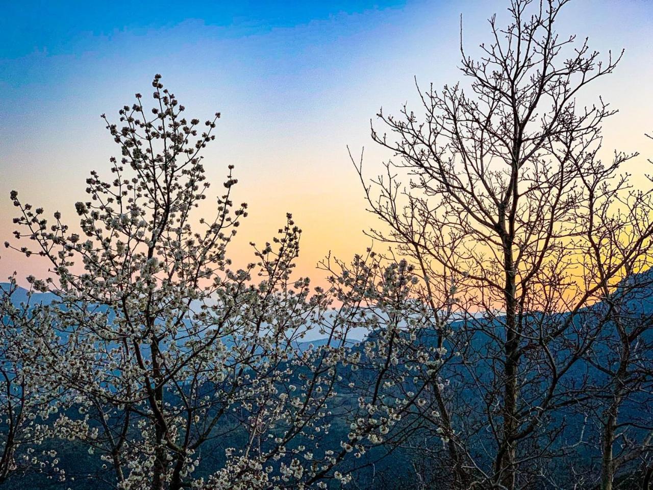 Nuits Magiques Au Village Entre Mer Et Montagnes Bigorno Dış mekan fotoğraf