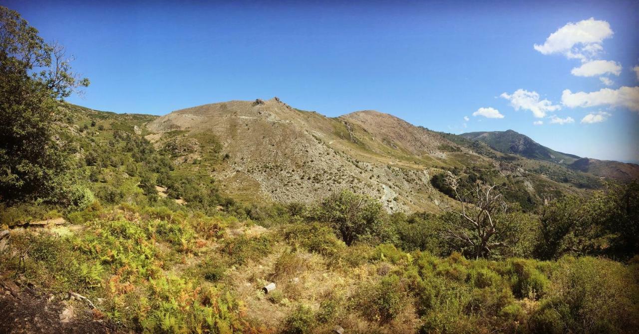 Nuits Magiques Au Village Entre Mer Et Montagnes Bigorno Dış mekan fotoğraf