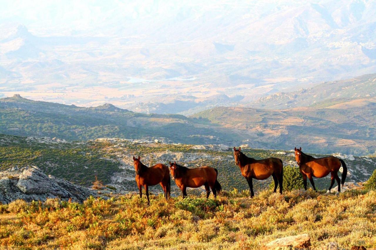 Nuits Magiques Au Village Entre Mer Et Montagnes Bigorno Dış mekan fotoğraf