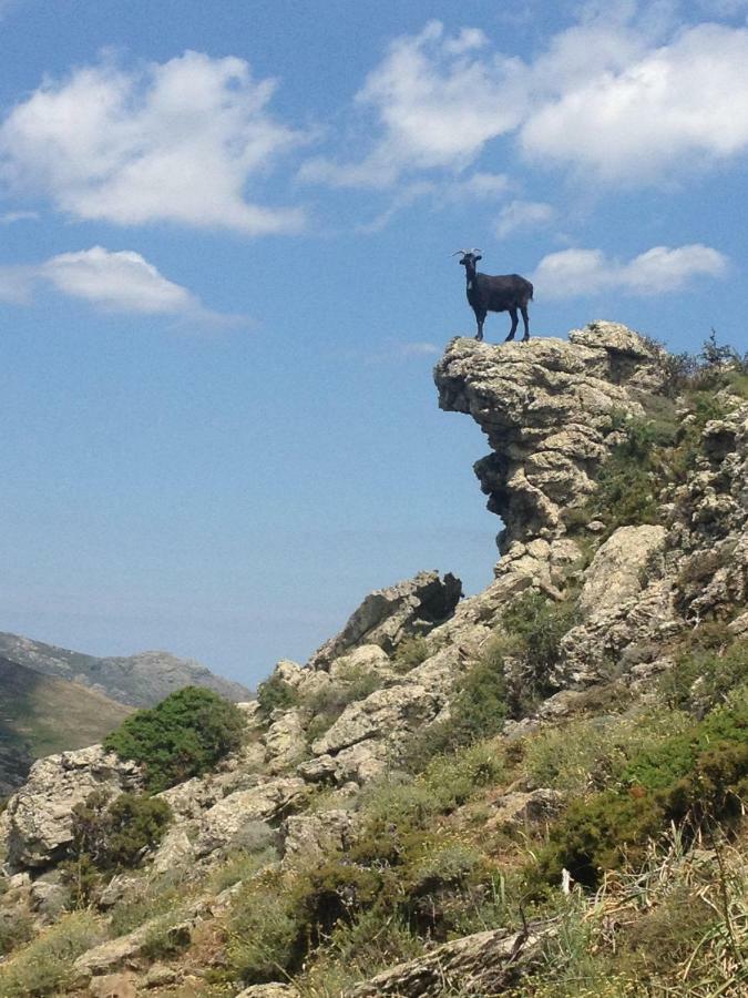 Nuits Magiques Au Village Entre Mer Et Montagnes Bigorno Dış mekan fotoğraf